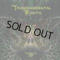 V.A / Transcendental Roots