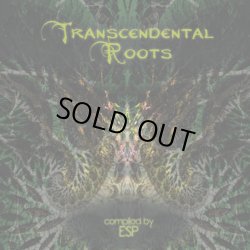 画像1: V.A / Transcendental Roots