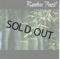 Bamboo Forest / Bamboo Forest