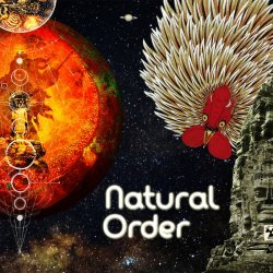 画像1: V.A / Natural Order