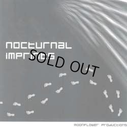 画像1: V.A / Nocturnal Imprints