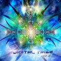 Digital Tribe / This Is It