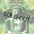 Lost Buddha / Untold Stories