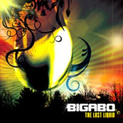 画像1: BIGABO / THE LAST LIQUID