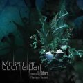 【お取り寄せ】 V.A / MOLECULAR COUNTERPART