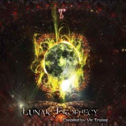 画像1: 【お取り寄せ】 V.A / Lunar Prophecy