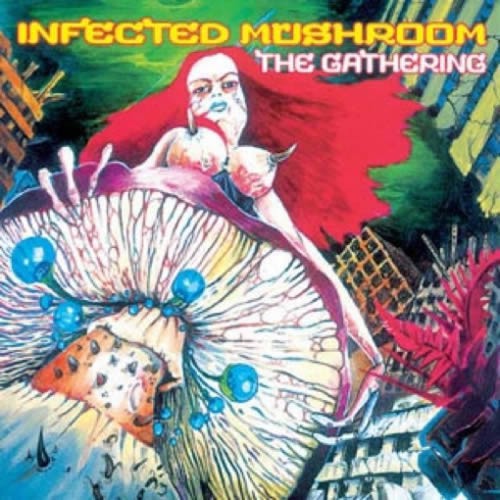 infected mushroom heavyweight drums