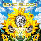 V.A / Sonic Bloom