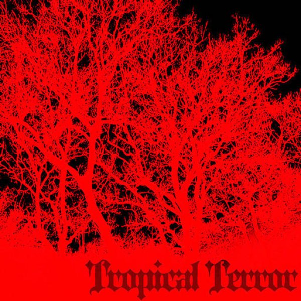 画像1: V.A / Tropical Terror (1)