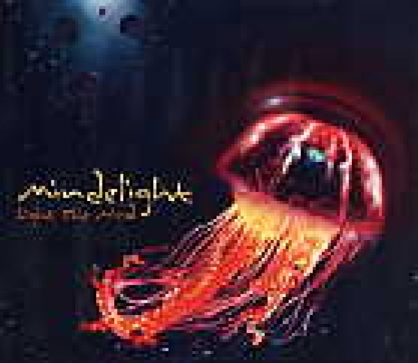 画像1: MINDELIGHT / LIGHT THE MIND (1)