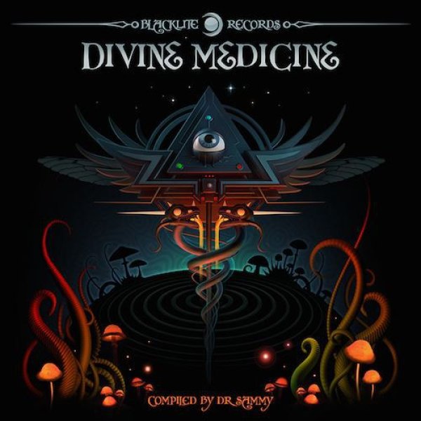 画像1: 【お取り寄せ】 V.A / Divine Medicine (1)