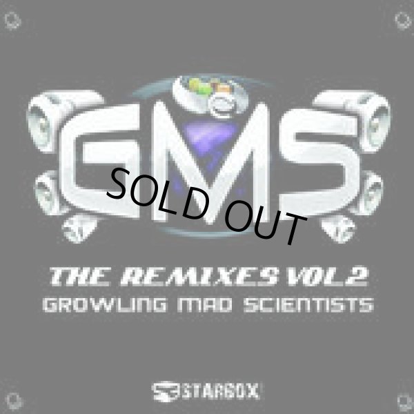 画像1: G.M.S / THE REMIXES VOL.2 (1)